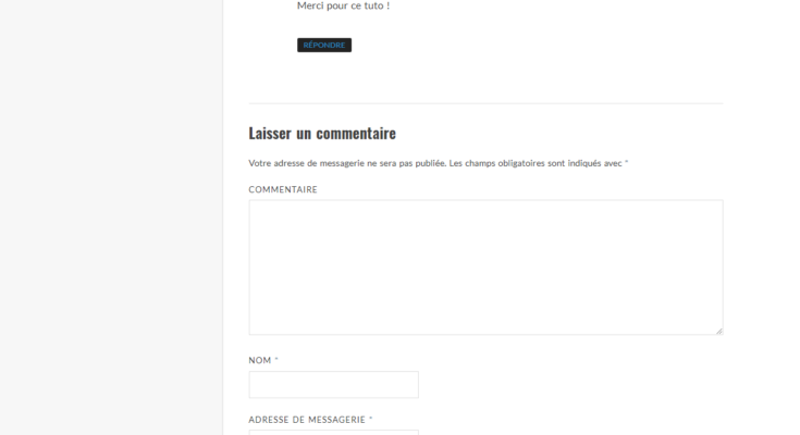 Commentaire WordPress avec un lien SEO vers un site web externe via le champ Site Web