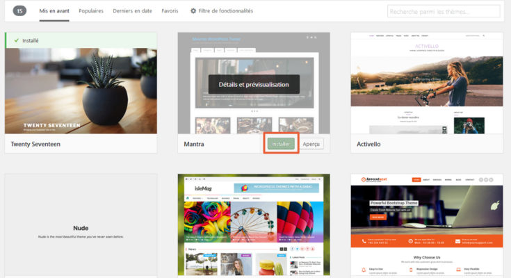Installer un thème WordPress en un clic depuis l'administration
