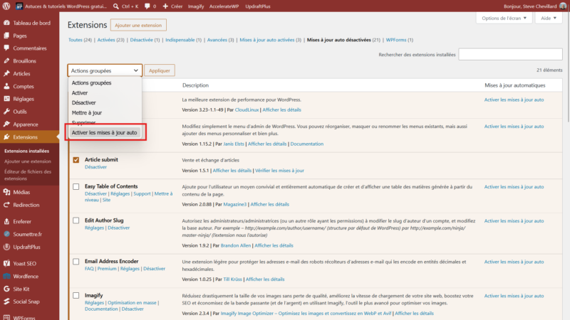 Menu Actions groupées de WordPress avec l'option Activer les mises à jour auto sélectionnée