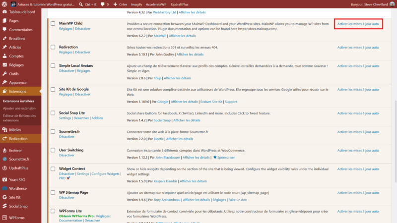 Lien Activer les mises à jour auto encadré dans la colonne de droite de la liste des plugins WordPress