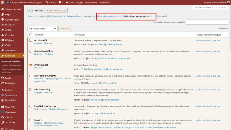 Filtres Mises à jour auto activées et désactivées en haut de la liste des extensions WordPress