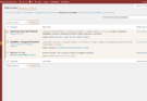 Liste des extensions WordPress filtrée sur les mises à jour auto activées : Akismet, UpdraftPlus et Wordfence