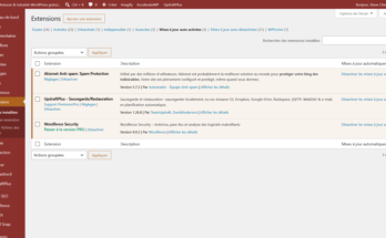 Liste des extensions WordPress filtrée sur les mises à jour auto activées : Akismet, UpdraftPlus et Wordfence