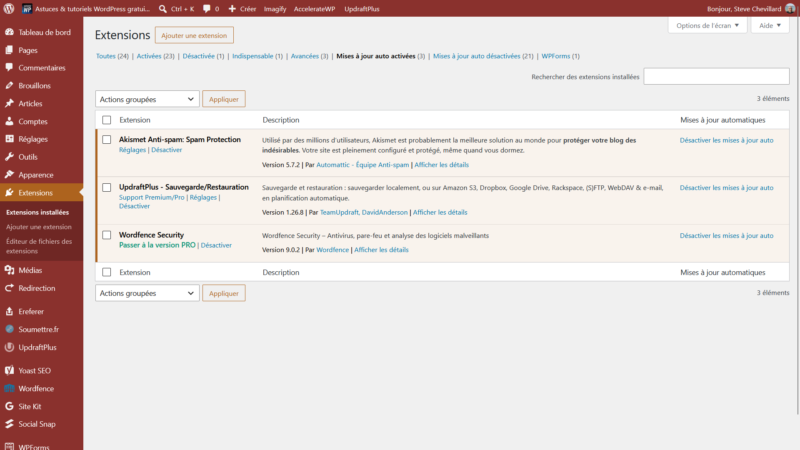 Liste des extensions WordPress filtrée sur les mises à jour auto activées : Akismet, UpdraftPlus et Wordfence