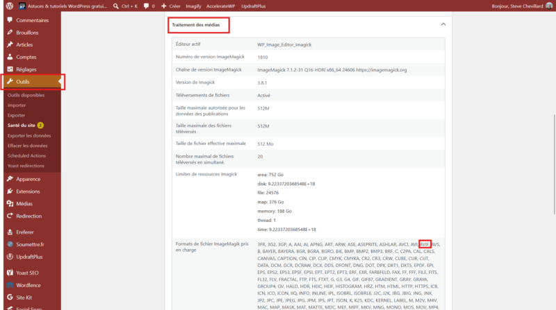 Santé du site WordPress, section Traitement des médias : formats ImageMagick pris en charge avec AVIF et WebP