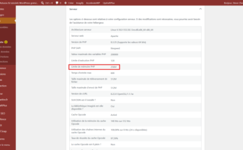 Santé du site WordPress, section Serveur : la limite de mémoire PHP affiche 256M